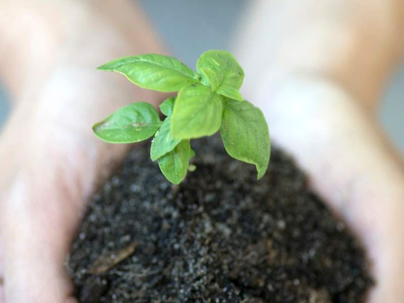 Understanding Hoarding Cleanup in Costa Mesa